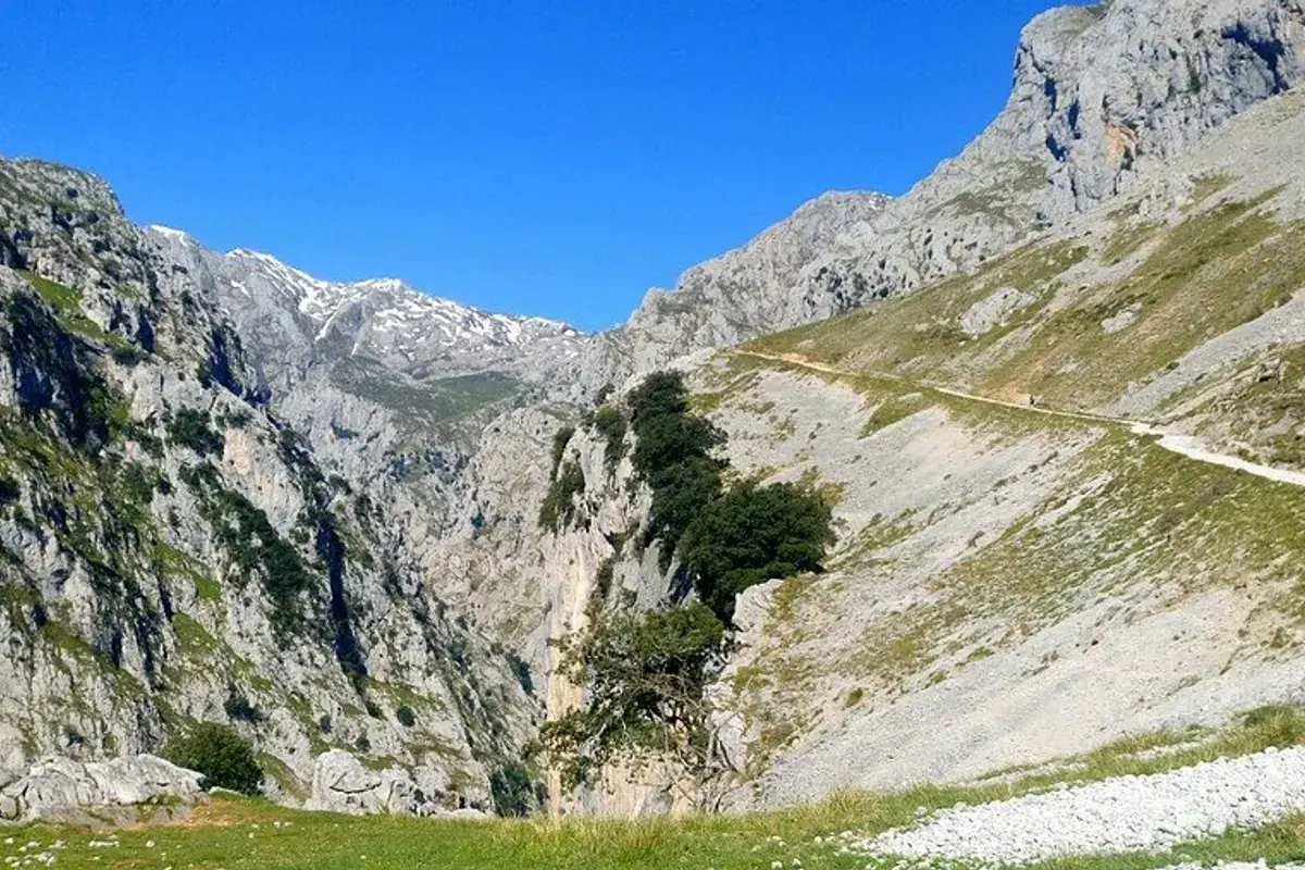Garganta del Cares vista desde el sendero, con paredes de roca y cielo azul en los Picos de Europa