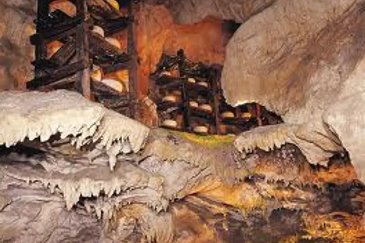 Quesos de Cabrales en una cueva-quesería tradicional de Asturias
