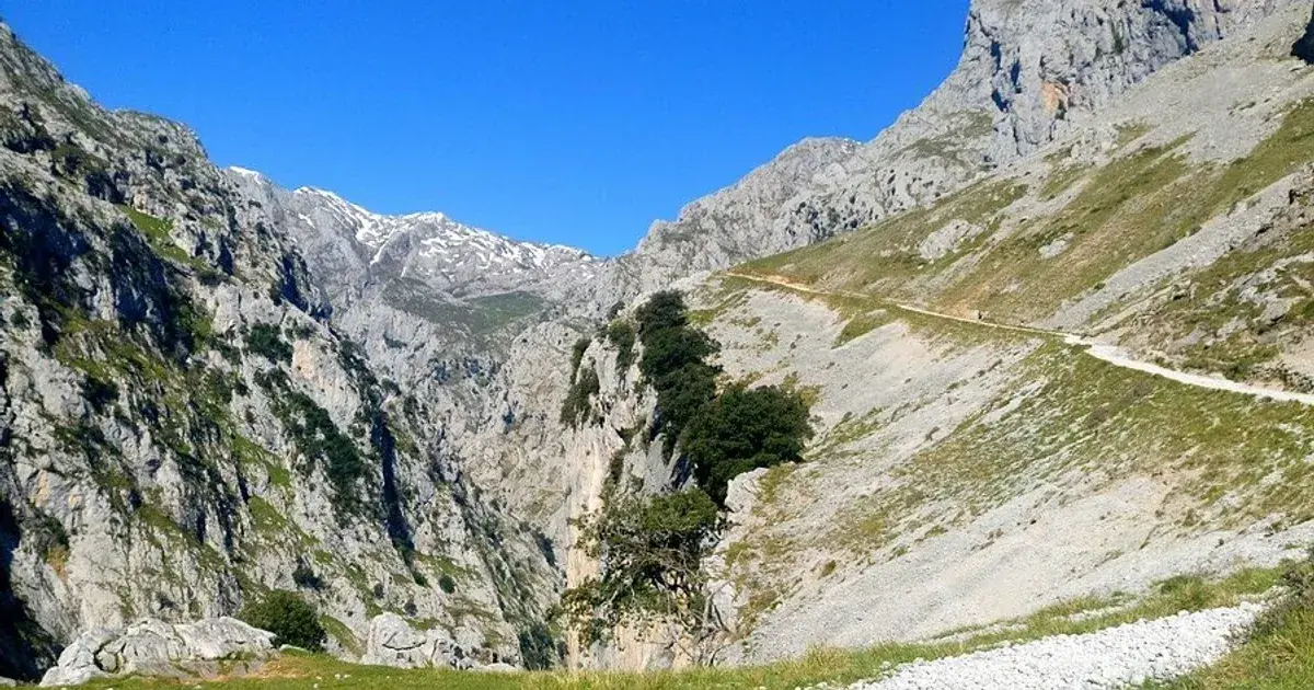 Picos de Europa